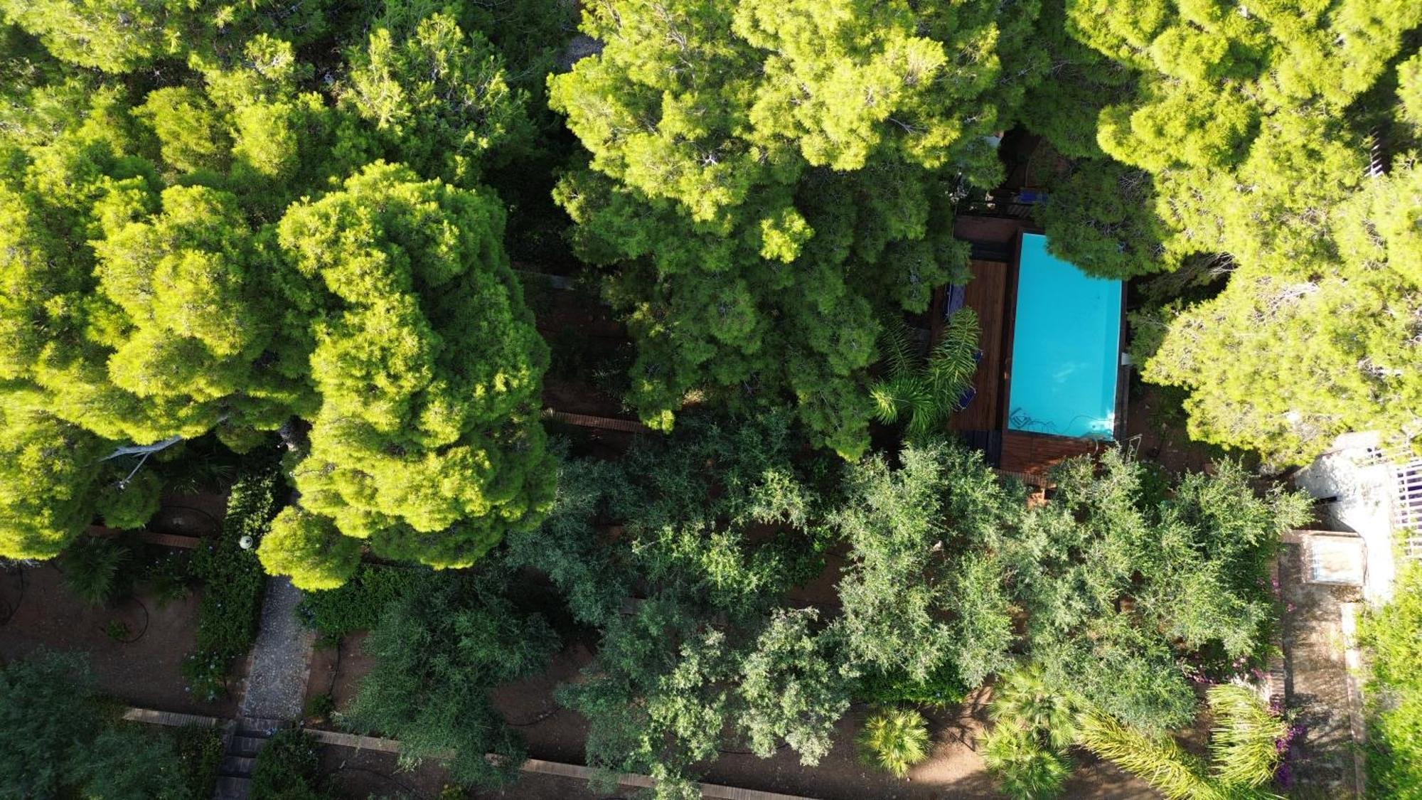 Villa Majus Porticello Εξωτερικό φωτογραφία